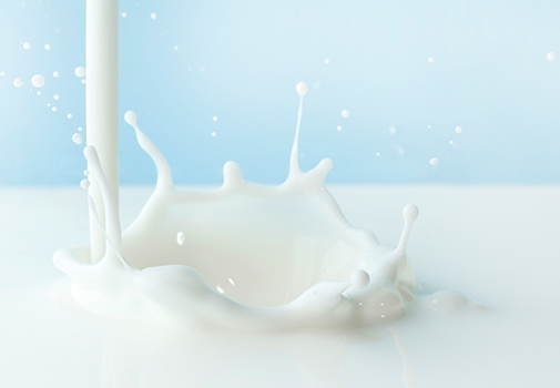  水牛奶穩定劑